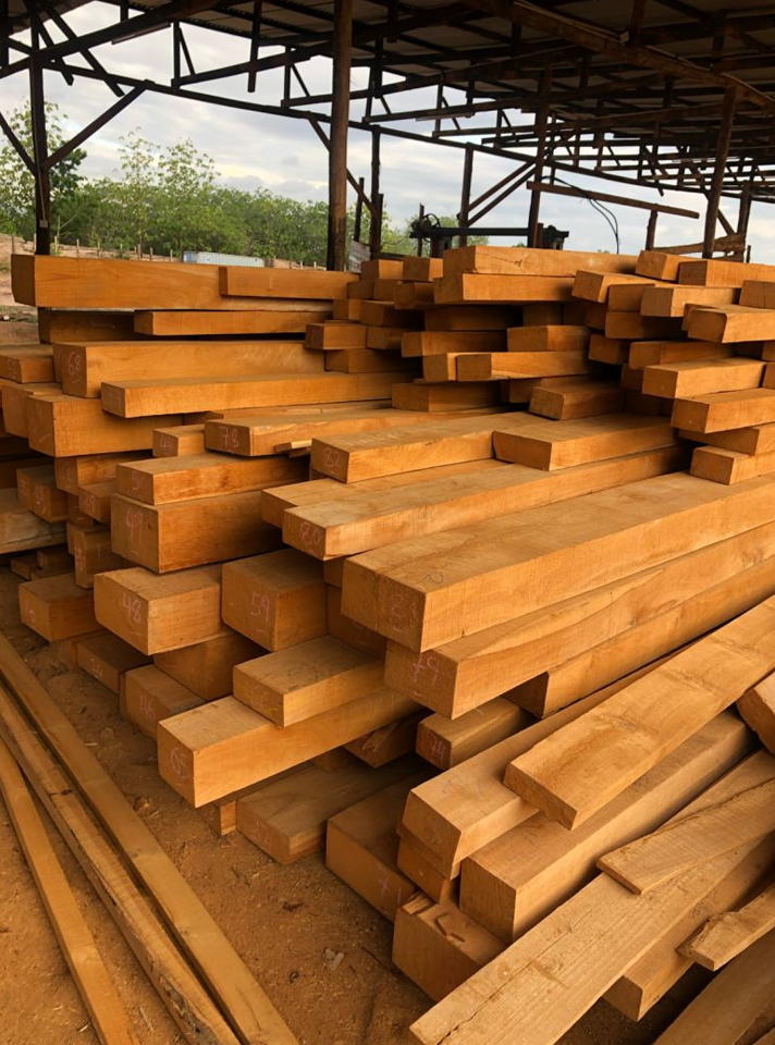 Timber Wholesaler & Retailer in Chennai